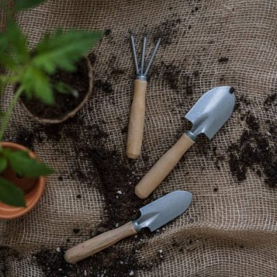 garden maintenance ichigoichiefarm